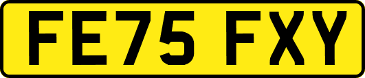FE75FXY