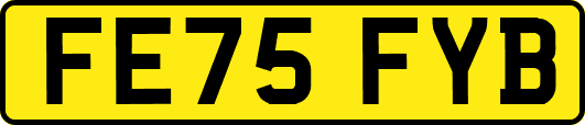 FE75FYB