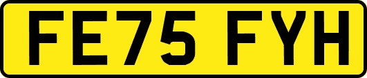 FE75FYH