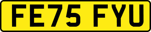 FE75FYU