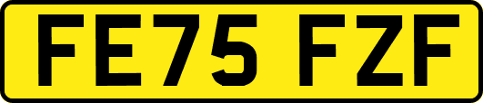 FE75FZF