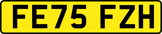 FE75FZH