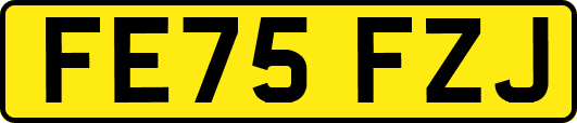 FE75FZJ