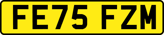 FE75FZM