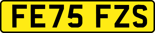 FE75FZS