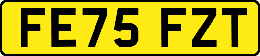 FE75FZT