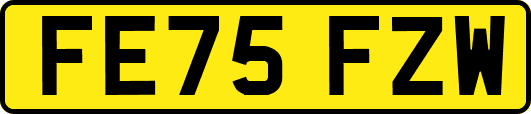 FE75FZW