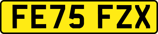 FE75FZX