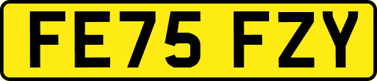 FE75FZY