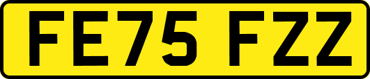 FE75FZZ