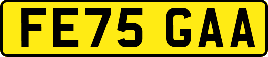 FE75GAA