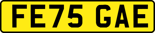 FE75GAE