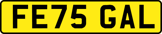FE75GAL