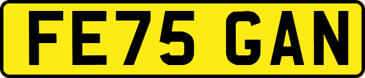 FE75GAN