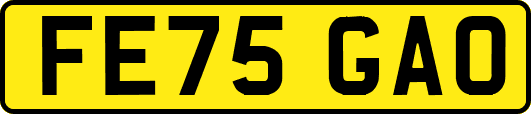 FE75GAO