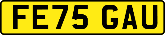 FE75GAU
