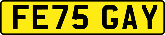 FE75GAY