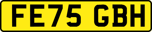 FE75GBH
