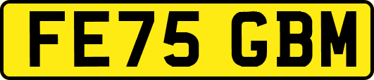 FE75GBM