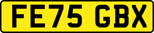 FE75GBX