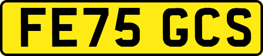 FE75GCS