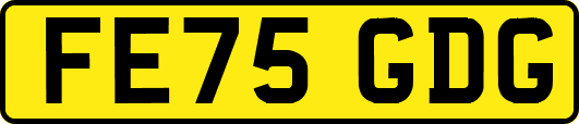 FE75GDG