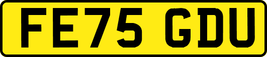 FE75GDU