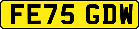 FE75GDW