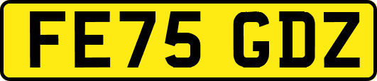 FE75GDZ