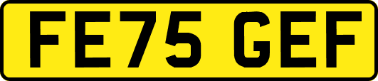 FE75GEF