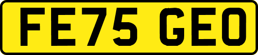 FE75GEO