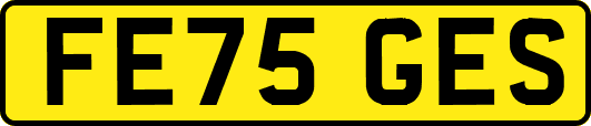FE75GES
