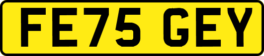 FE75GEY