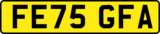 FE75GFA