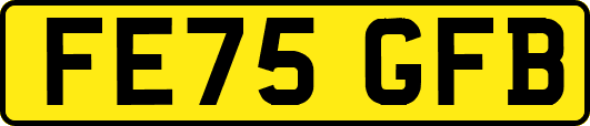 FE75GFB