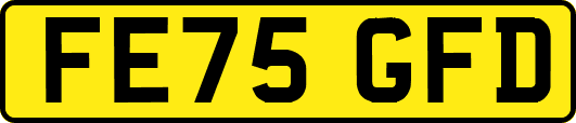 FE75GFD