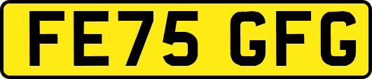 FE75GFG