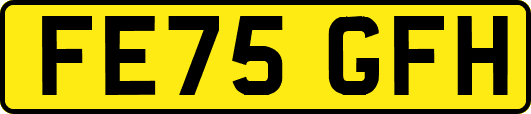 FE75GFH
