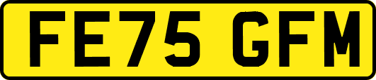 FE75GFM