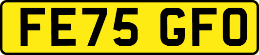 FE75GFO