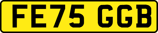 FE75GGB
