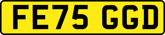 FE75GGD