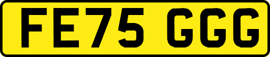 FE75GGG