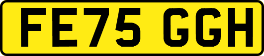 FE75GGH