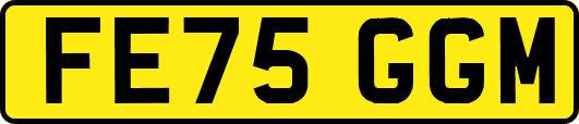 FE75GGM