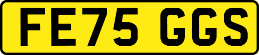 FE75GGS