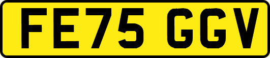FE75GGV