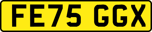 FE75GGX