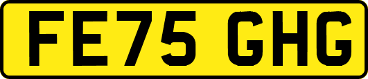 FE75GHG