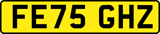 FE75GHZ